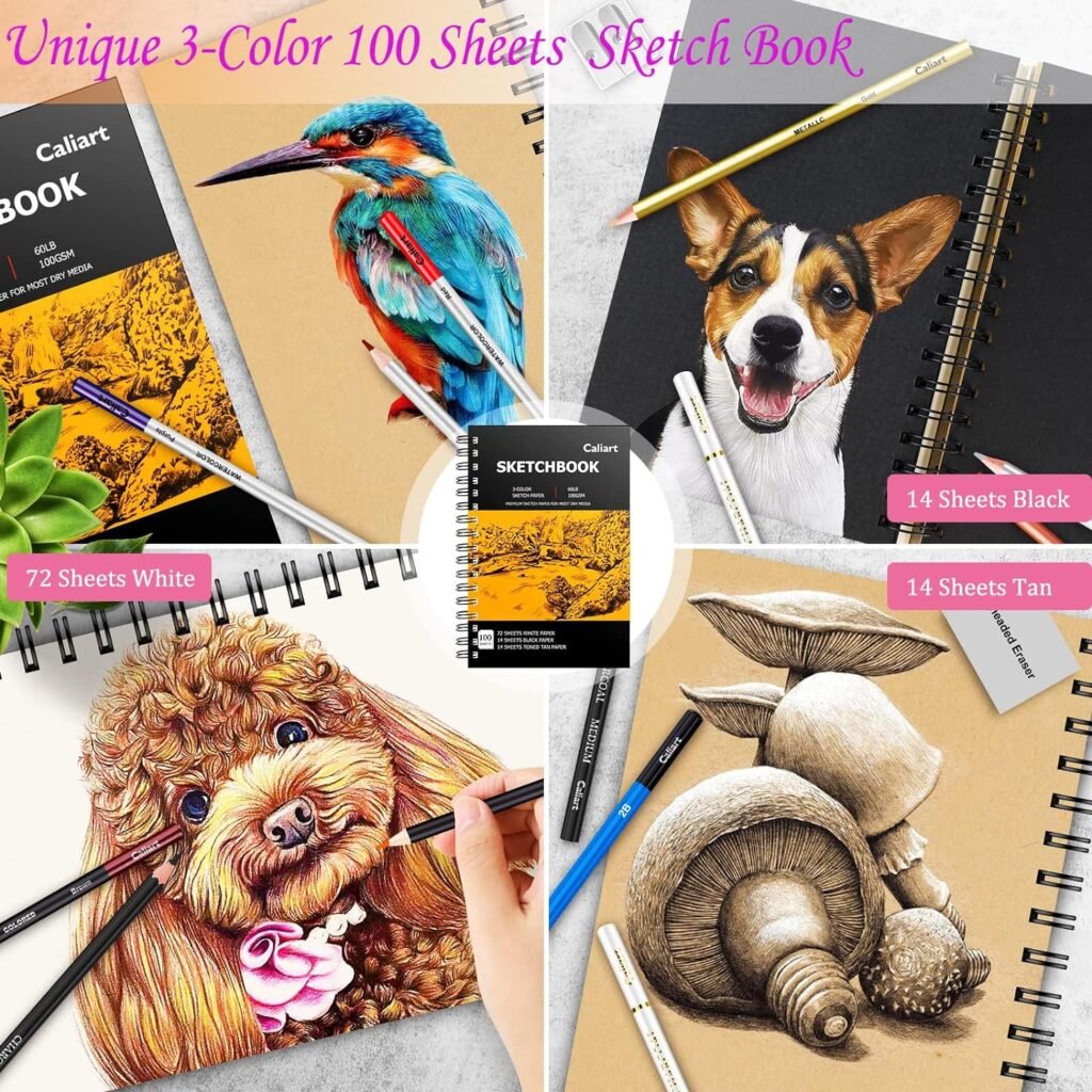 Caliart 176PCS Art Supplies Sketching Kit with 100 Sheets 3-Color Sketch Book, Graphite Colored Charcoal Watercolor  Metallic Pencils, School Supplies Gifts for Artists Adults Teens Girls Boys Kids